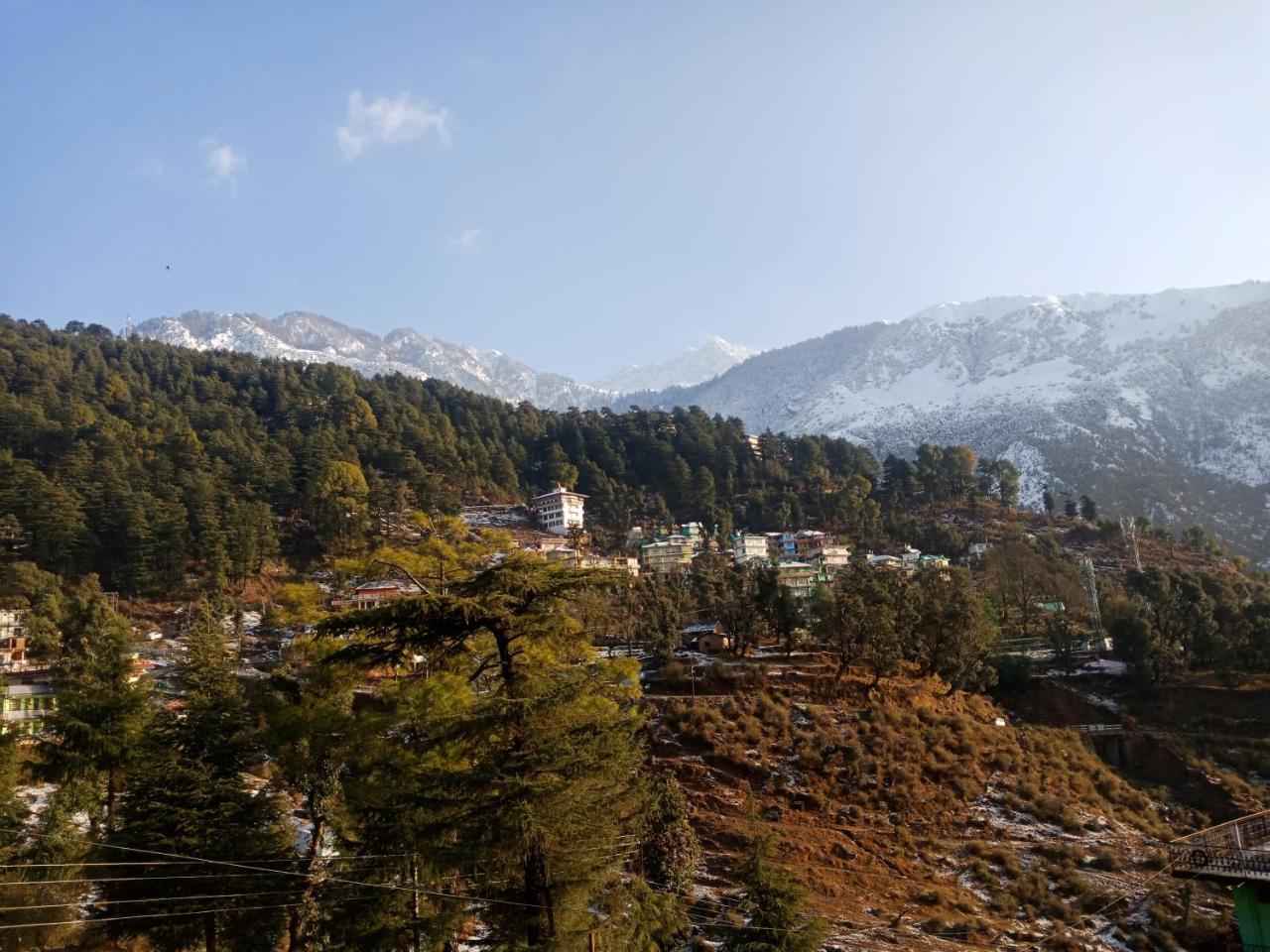 Hotel Pine Spring Dharamshala Dış mekan fotoğraf