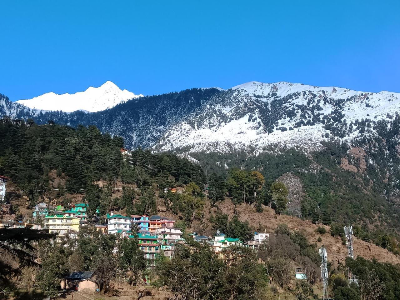 Hotel Pine Spring Dharamshala Dış mekan fotoğraf