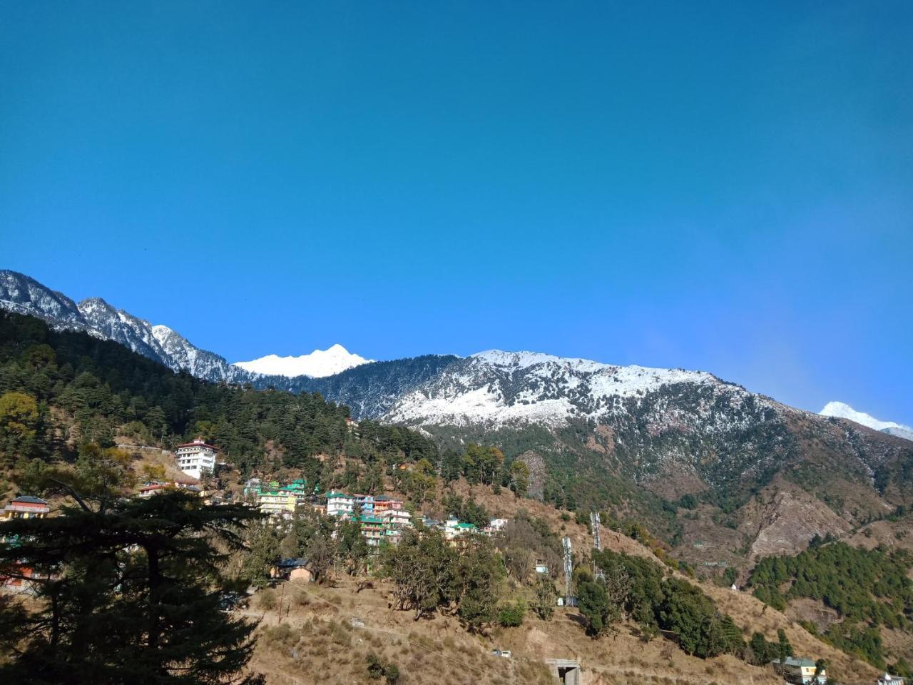 Hotel Pine Spring Dharamshala Dış mekan fotoğraf