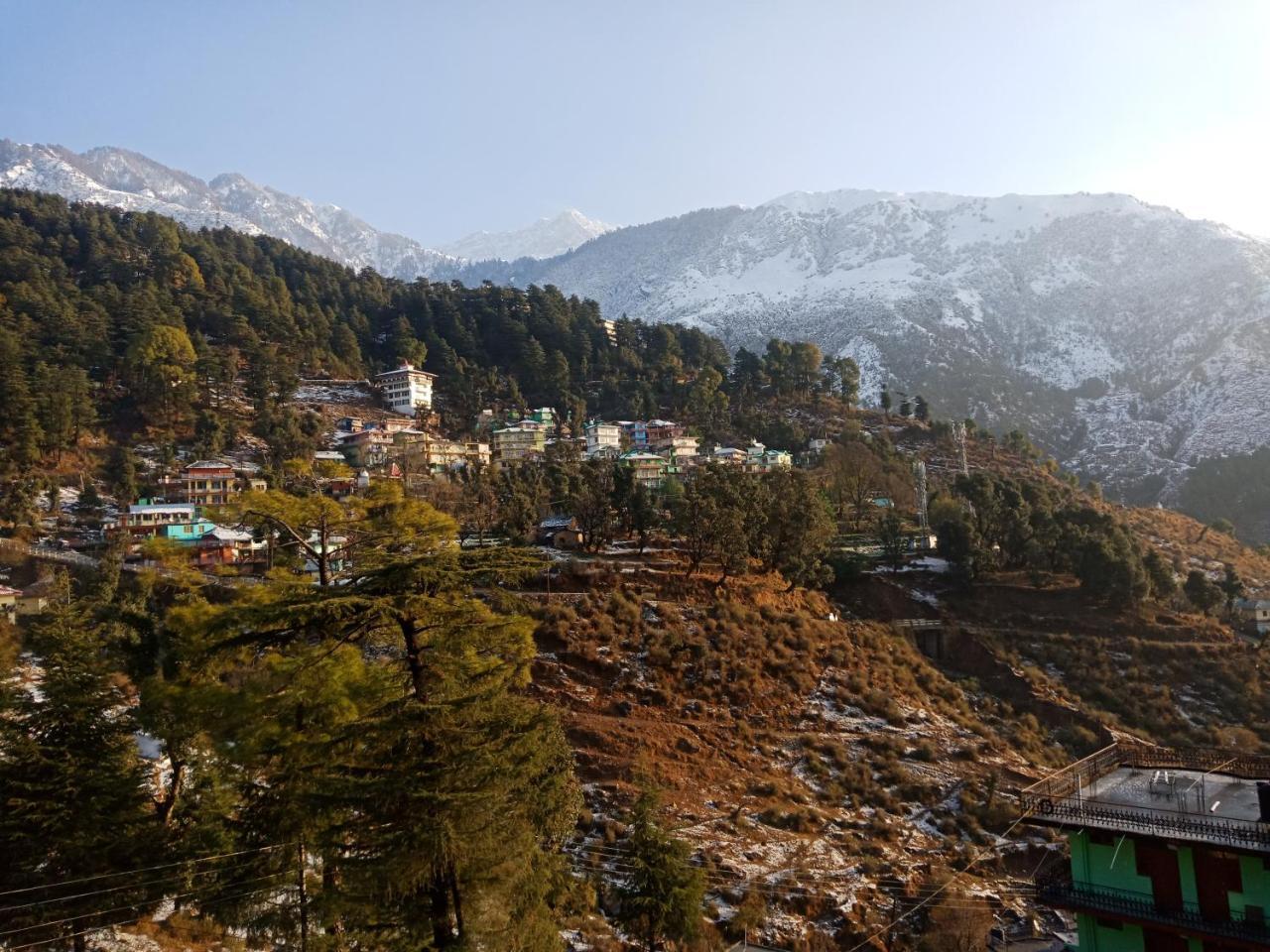 Hotel Pine Spring Dharamshala Dış mekan fotoğraf