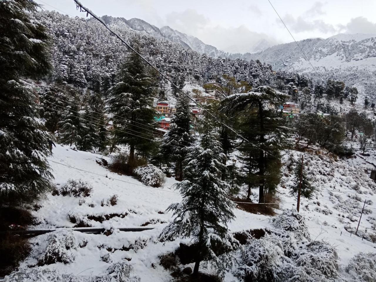 Hotel Pine Spring Dharamshala Dış mekan fotoğraf