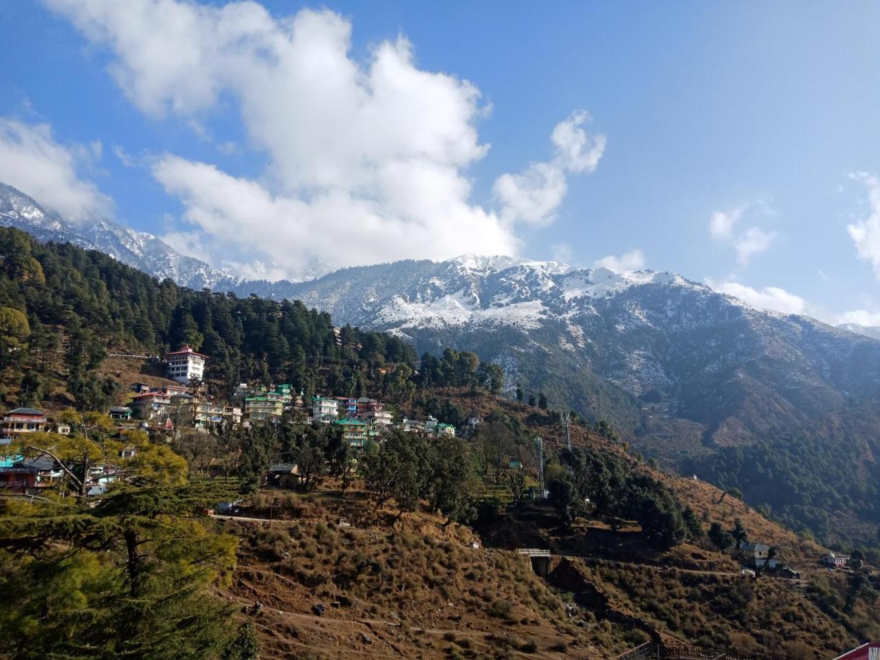 Hotel Pine Spring Dharamshala Dış mekan fotoğraf