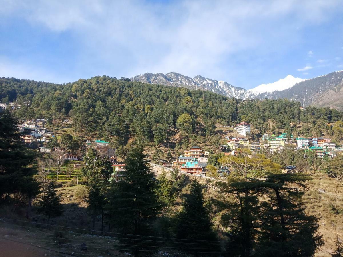 Hotel Pine Spring Dharamshala Dış mekan fotoğraf