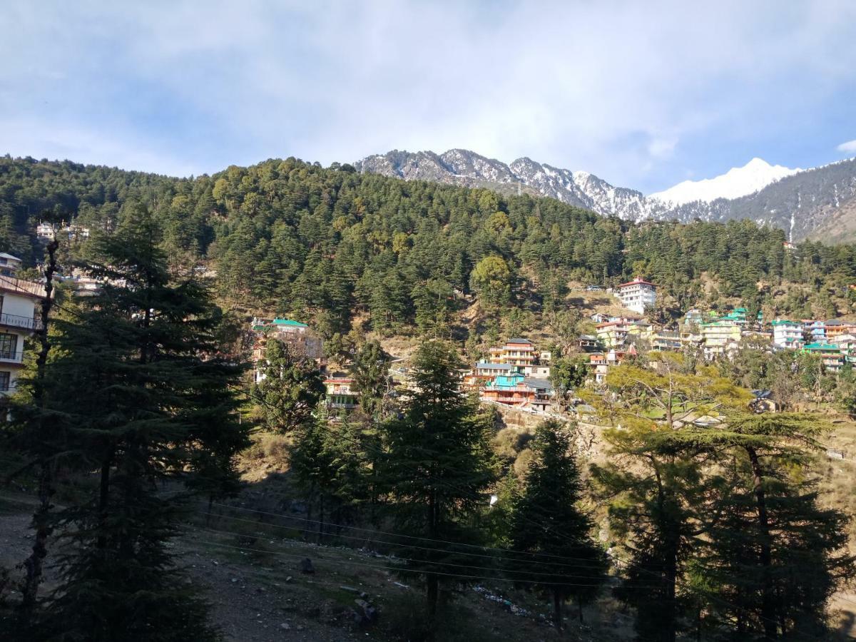 Hotel Pine Spring Dharamshala Dış mekan fotoğraf