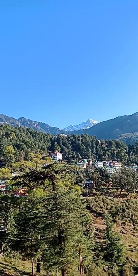 Hotel Pine Spring Dharamshala Dış mekan fotoğraf